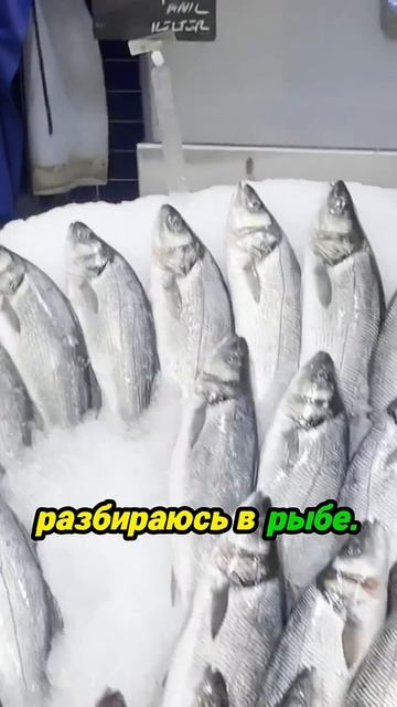 Цены на рыбу в Турции: вы будете в шоке!