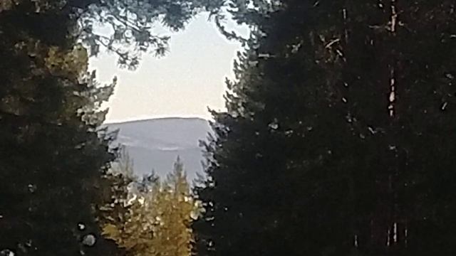 7. Гора Теплая (728 метров). Венец. Вершина. 22 февраля 2024 года. смотреть онлайн