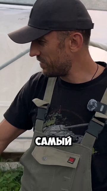 Wim’s red - сорт гортензии, а больше про наш бизнес на кана смотреть онлайн