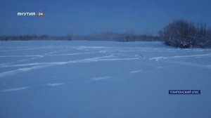 Волки участили нападения на скот в Томпонском районе