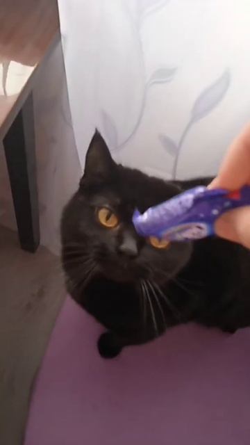 Мэвис ест шоколад? 🍫 смотреть онлайн