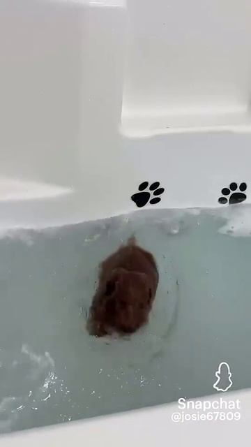 ждите 2 часть. а то просто у меня телефон садится 😥 смотреть онлайн