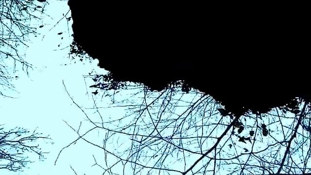 Копия видео Развалка2015 005