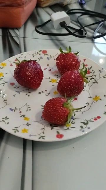 Вы уже ели клубнику этим летом? смотреть онлайн