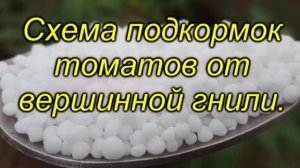 🍅 Кальций для томатов: как избежать вершинной гнили?