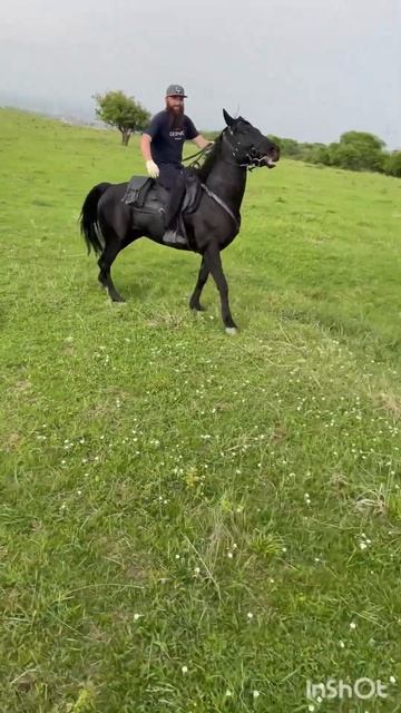 Кровь есть кровь смотреть онлайн