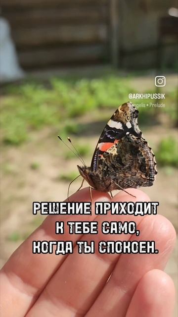 Будь спокоен. Всё есть план. #позитивноемышление #любо? смотреть онлайн