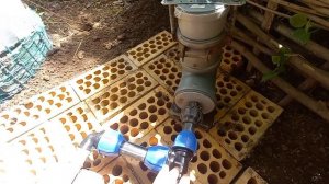 Инжектор Вентури. Автоматическое удобрение на даче.