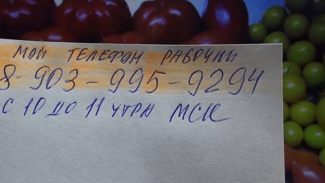 Хорошие новости для моих заказчиков! Теперь вы можете мне позвонить!