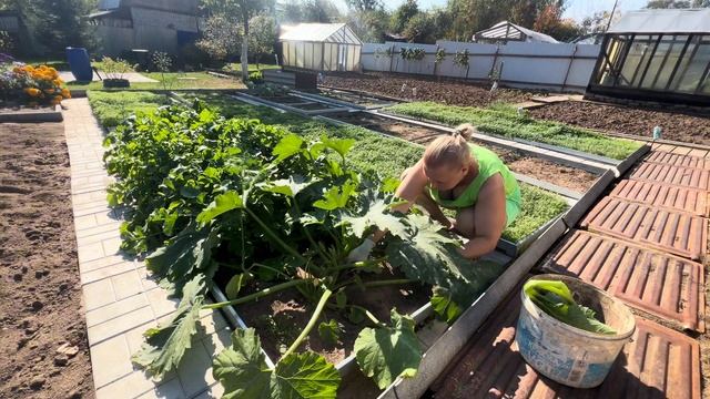 15 сентября. Для ОСТРОГО ПЕРЦА сезон закрыт. Буду меньш? смотреть онлайн