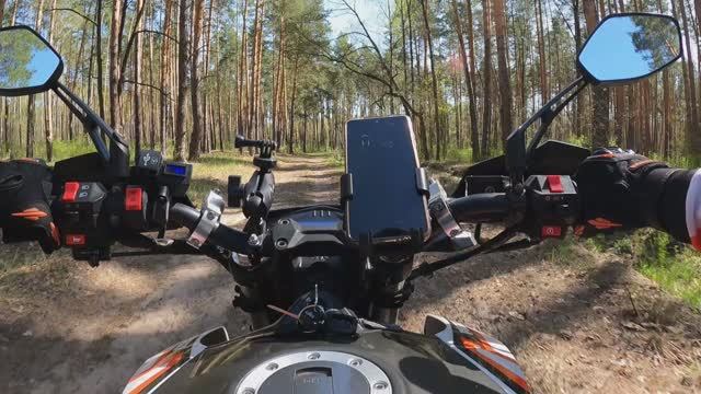 Лесные тропинки и неизвестность смотреть онлайн