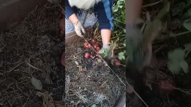 Первый раз посадили Унику. смотреть онлайн