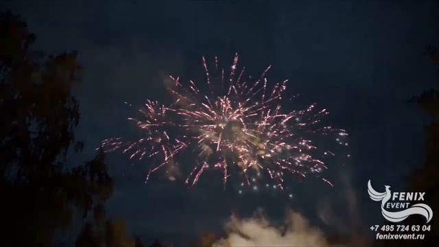 Заказать салют на свадьбу, праздник и корпоратив в Москве - фейерверк на День Рождения