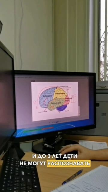 Зрительные отделы мозга #нейропсихология #нормы #зрен? смотреть онлайн