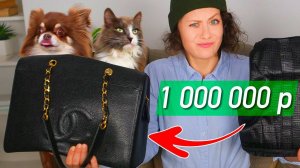 Безумные Товары ТРУСЫ для собак за 84 000, ГУЧЧИ, ДОМ для кошки за 2 МИЛЛИОНА