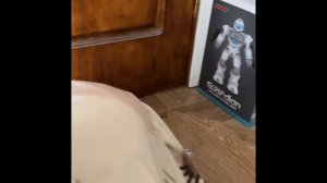 Купил Доктонимуса