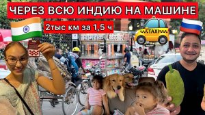 через всю индию за 1.5 ч. сломалась машина. едем с детьми и собаками