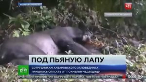 СМЕШНЫЕ СИТУАЦИИ В ПРЯМОМ ЭФИРЕ