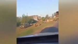 Разгром российской колоны близ села Октябрьское Рыль?