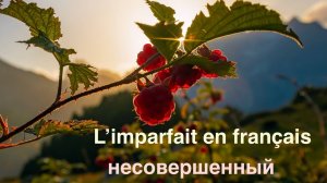 A1 - A2 - L'Imparfait en français - несовершенный - курсы французского языка