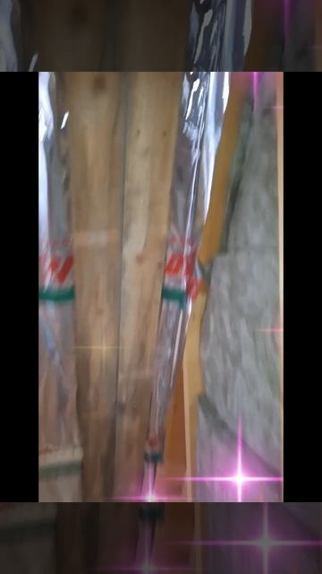 1000023452.mp4 (Собака смотрит на каркас для э/кабелей, установленный в доме А-фрейм)