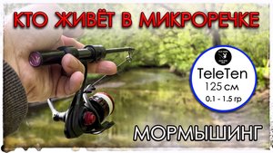Кто живёт в микроречке. Мормышинг. TeleTen 125 (0.1 - 1.5 г)