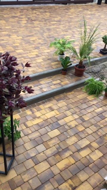 Хитрости ленивого садовода 😉 #plants #сад #дача #комнатны смотреть онлайн