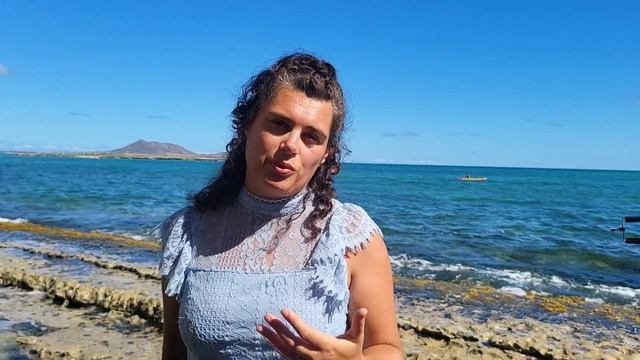 Как сэкономить деньги при покупке Дома в США?