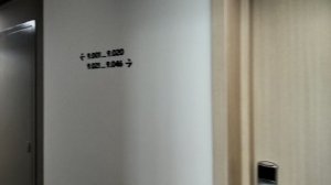 КОРИДОРЫ В АПАРТ-ОТЕЛЕ "YES BOTANICA " МОСКВА