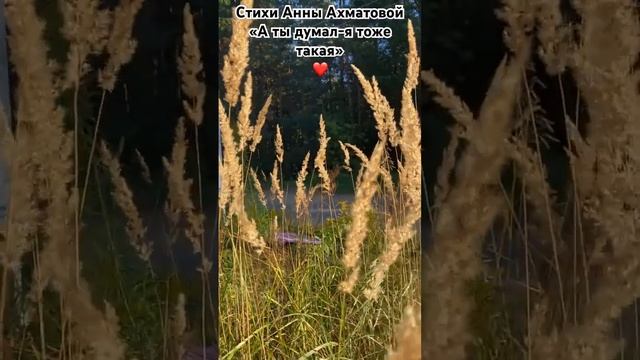 Стихи Анны Ахматовой»А ты думал-я тоже такая» Это вели смотреть онлайн