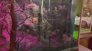 Гарри Поттер музейыттан | Николай Артемьев