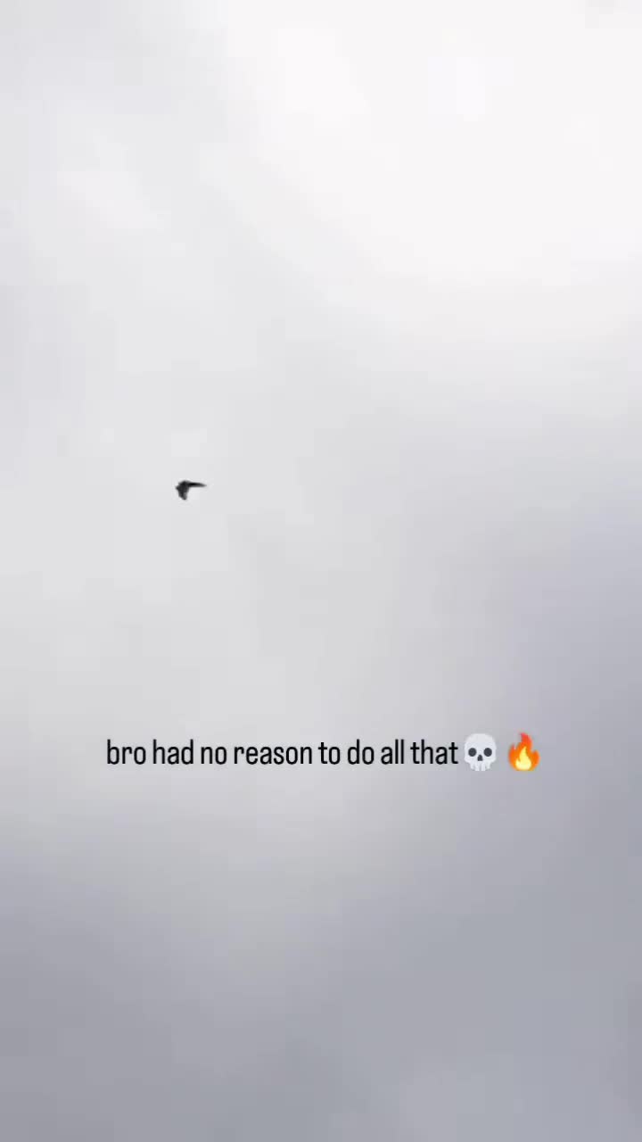 🐦⬛️ Мастера пилотажа