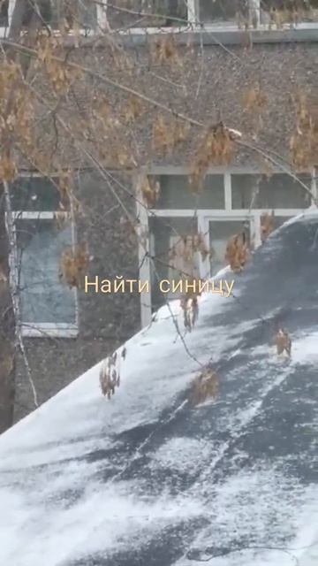 Там точно есть птица. смотреть онлайн