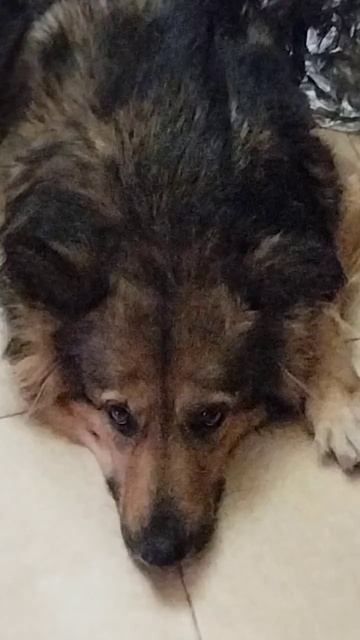 Нужно УМЕТЬ НАЙТИ БЕЗОПАСНОЕ ПРОСТРАНСТВО , в КОТОРОМ смотреть онлайн