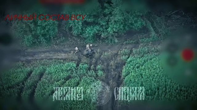 Свинорылый противник предпринял попытку несанкционированного проезда на нашу территорию