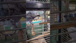 Весна 2025. Апрель. Прогулка в парке и в мини-зоопарке.