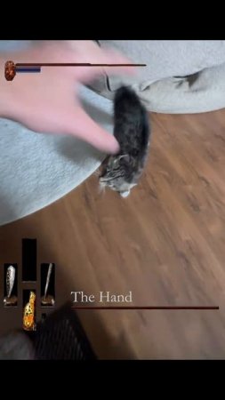Коротко о том, что видит каждый босс в Dark Souls.☠️