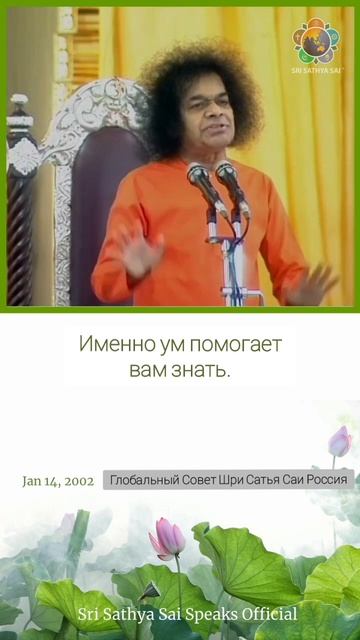 В чём наша цель человеческой жизни? Сатья Саи Баба.