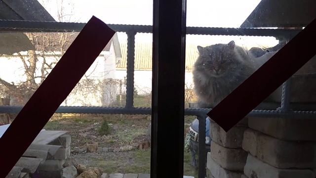 Хватит спать! Может быть нам готовят пожрать? Дай нам ж смотреть онлайн