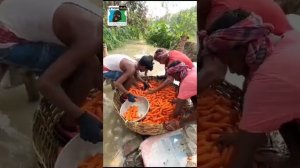 Чистая морковь 🥕🥕🥕 в вашем Магазине у дома