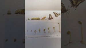 Биология 5 класс линия жизни параграф 11 (Жизнедеятельн