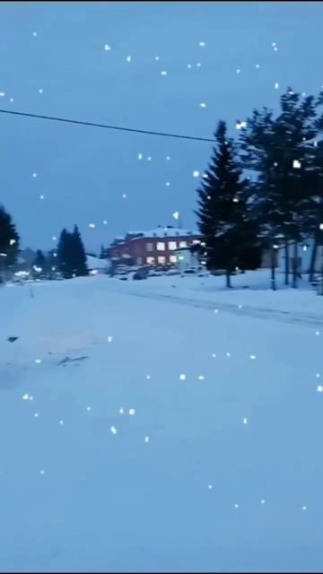 #shorts #красивоевидео #красотаприроды #снегопад #зима #ве смотреть онлайн
