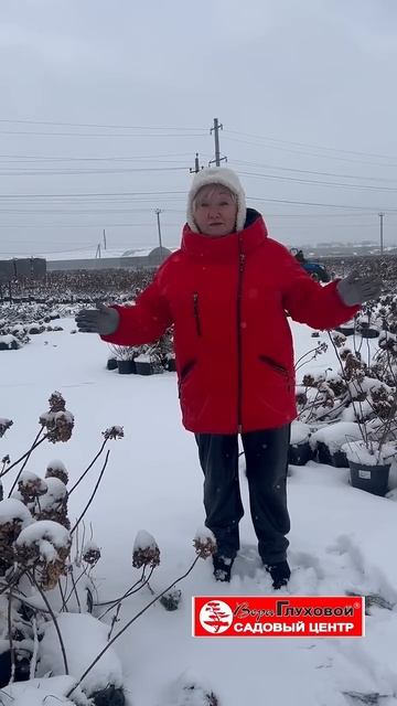 ЗАВЕРШАЕМ СЕЗОН-2024 смотреть онлайн