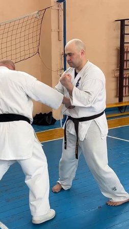Кёкусинкай #639 Каратэ Мурманск / Сборы под руководством Шихана Моторичева А.Ю. (26.04.25 г.) #12