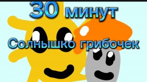30 минутная версия