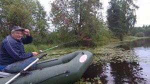 РЫБАЛКА С ЖЕНЕЙ НА КУРЬЕ В АВГУСТЕ / ПОПЛАВОК РАБОТАЕТ.