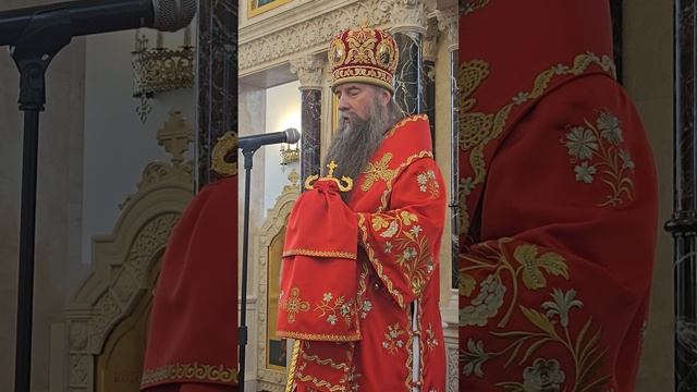 10.05.25г. Вл. Кирилл (Зинковский)