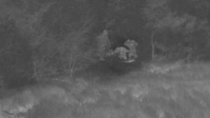 ВСУшники на фоне объявленного перемирия со стороны России решили сложить оружие и сдаться в плен