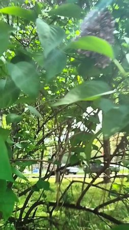 1000108830.mp4