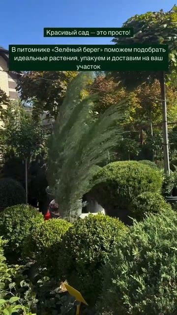 Ростов-на-Дону, ул. Левобережная, 19 «Зелёный берег» 🕒 ? смотреть онлайн